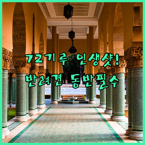 중국 장가계 72기루 인생샷 명소 분..