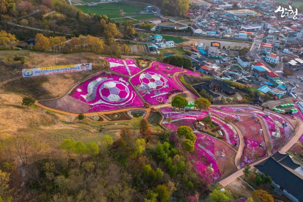 생초국제조각공원꽃잔디축제