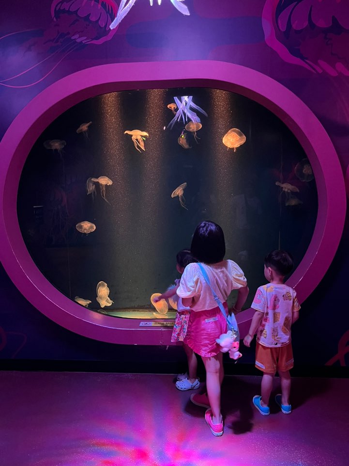 조호바루-레고랜드-씨라이프-아쿠아리움