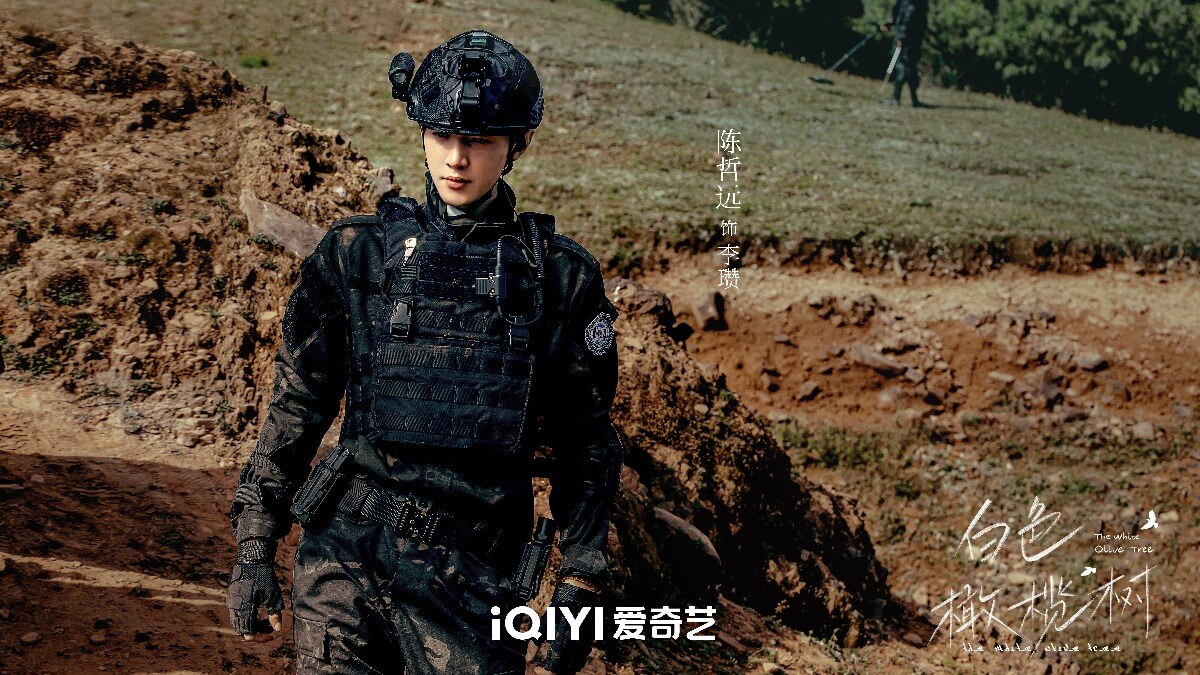 중드 백색감람수