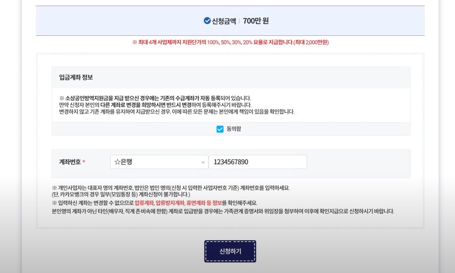 소상공인손실보전금