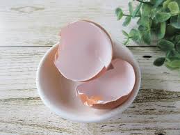 계란 껍질 잘 까지게 삶는법