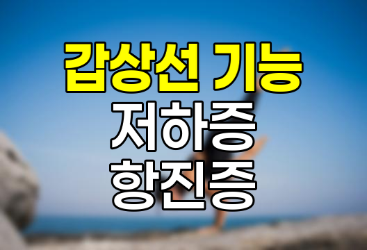 갑상선 기능 저하증과 항진증 비교 분석