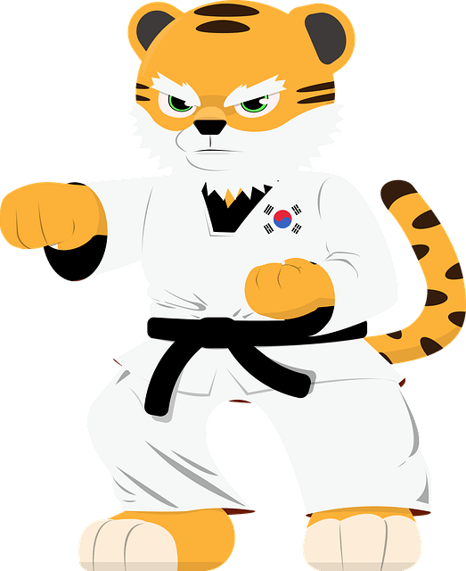 2024년 파리올림픽 중계보기