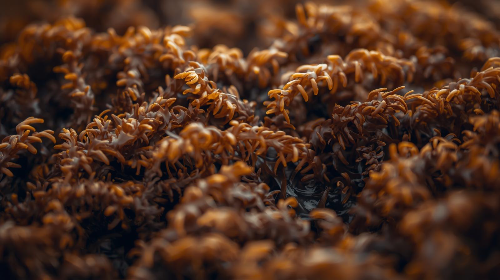 혈당 낮추는 음식