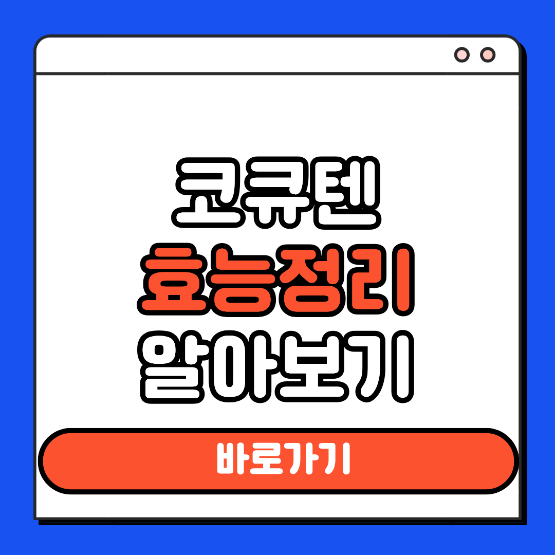 코큐텐 효능정리