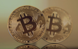 역대 미국 대선 발표 비트코인 영향 2024 예상 반응