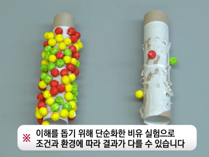 프로테오글리칸 효능