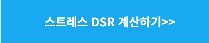 스트레스 DSR 계산기