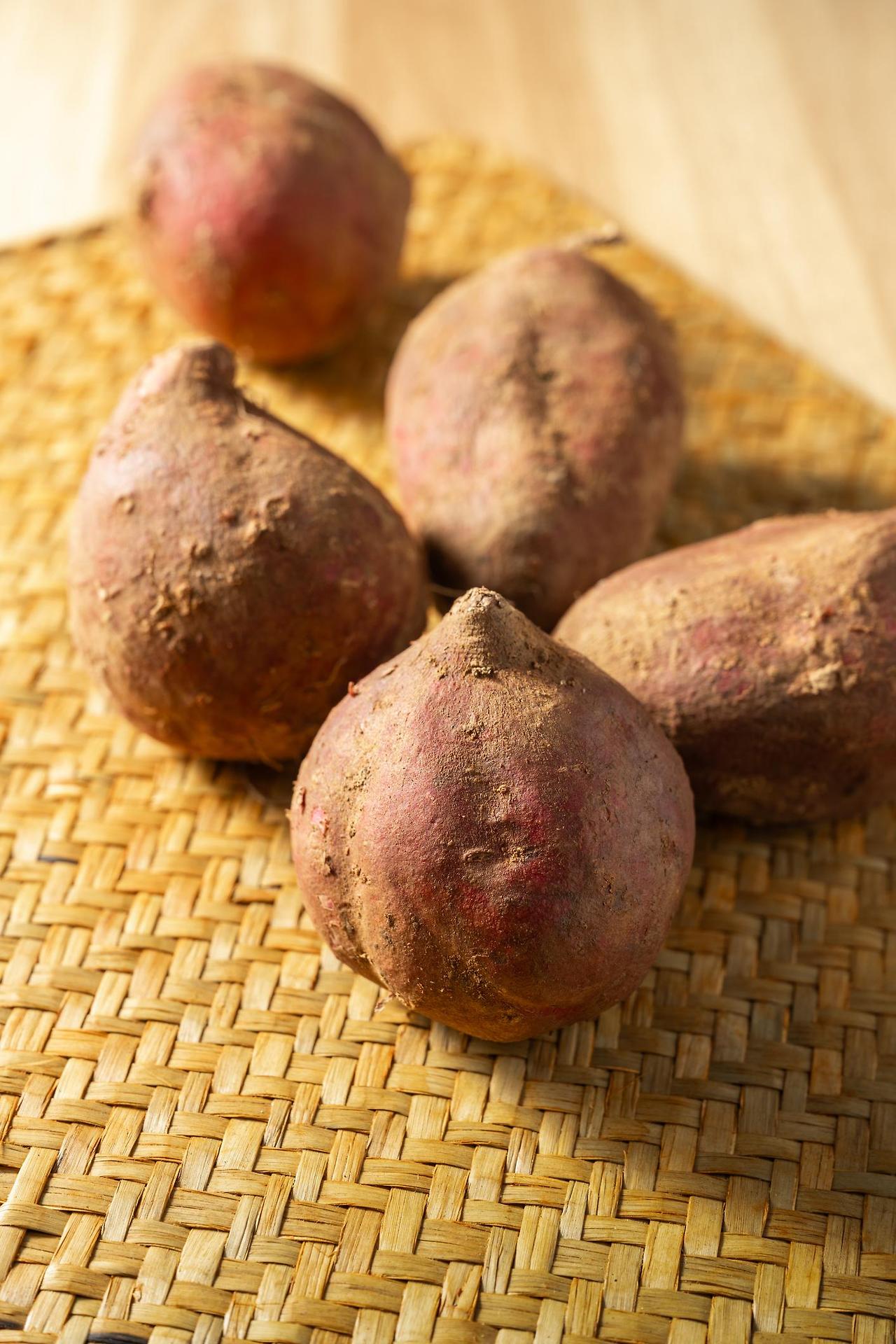 변비에 좋은 음식 고구마