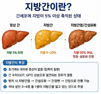 지방간에좋은음식-차-영양제-운동