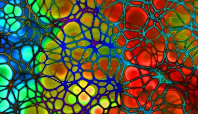 혈액검사로 알수있는 것, 질병과 종류