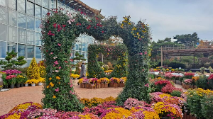 화성_우리꽃식물원_국화전시회