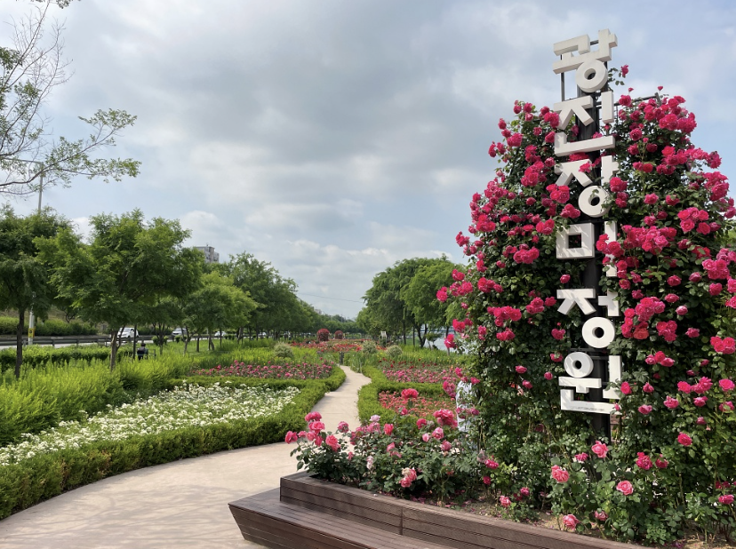 광진장미공원 이미지