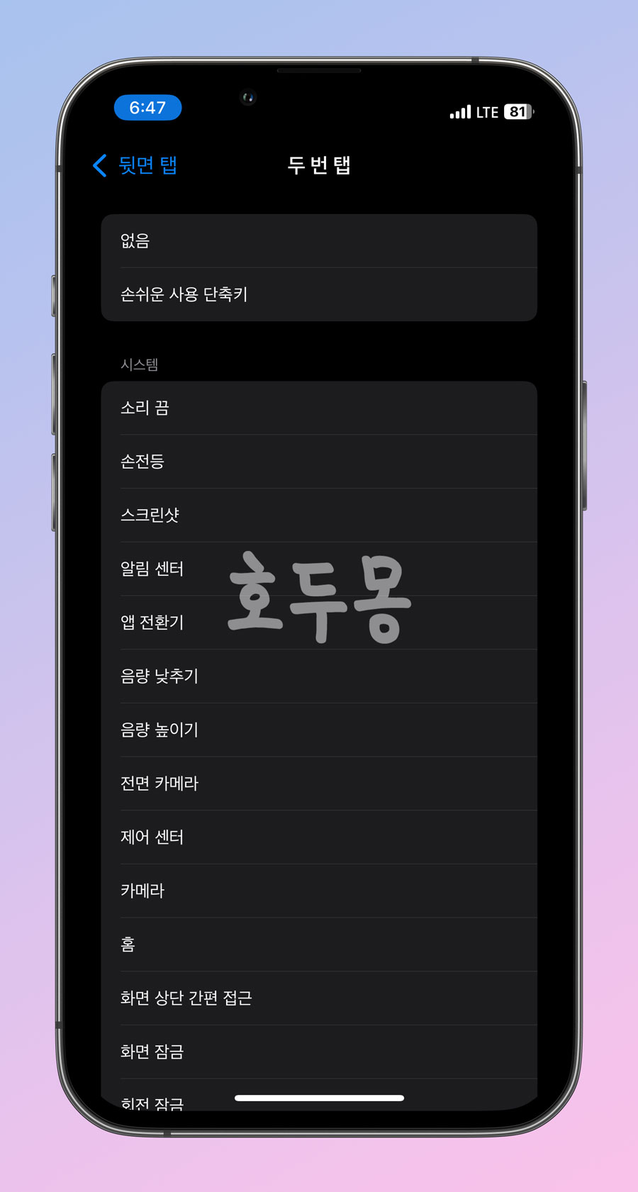 뒷면 탭 세부 설정