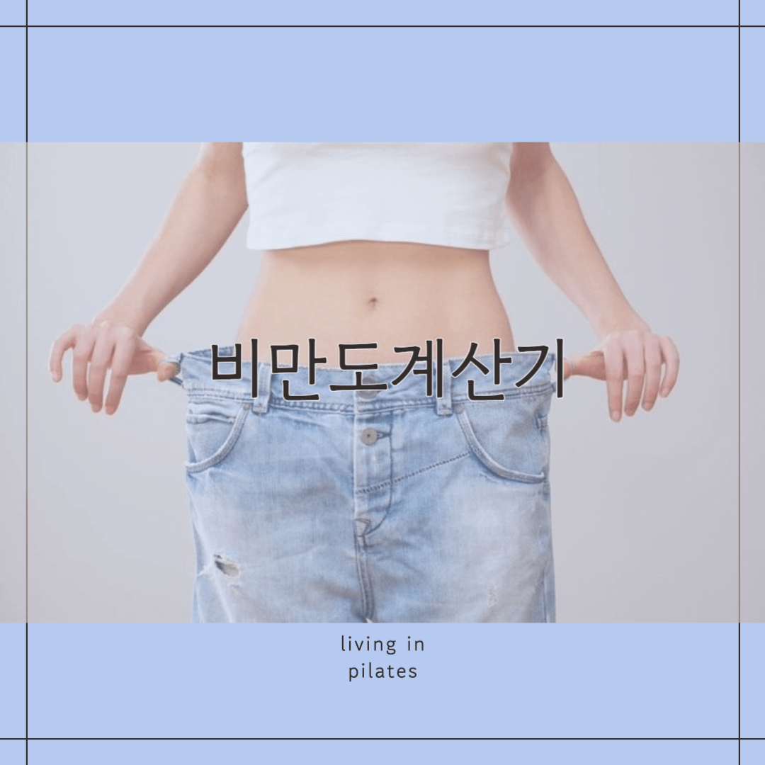 비만도계산기 어떻게 하는건데?