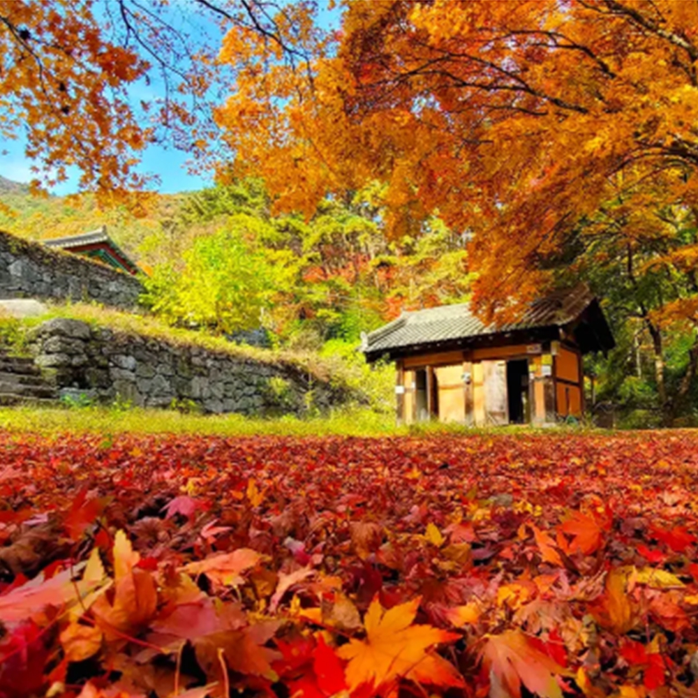 모악산 도립공원