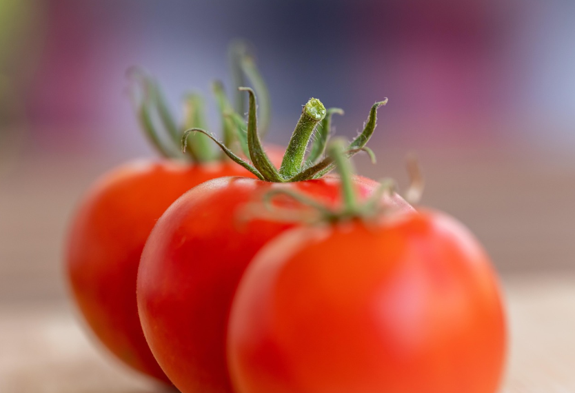 토마토