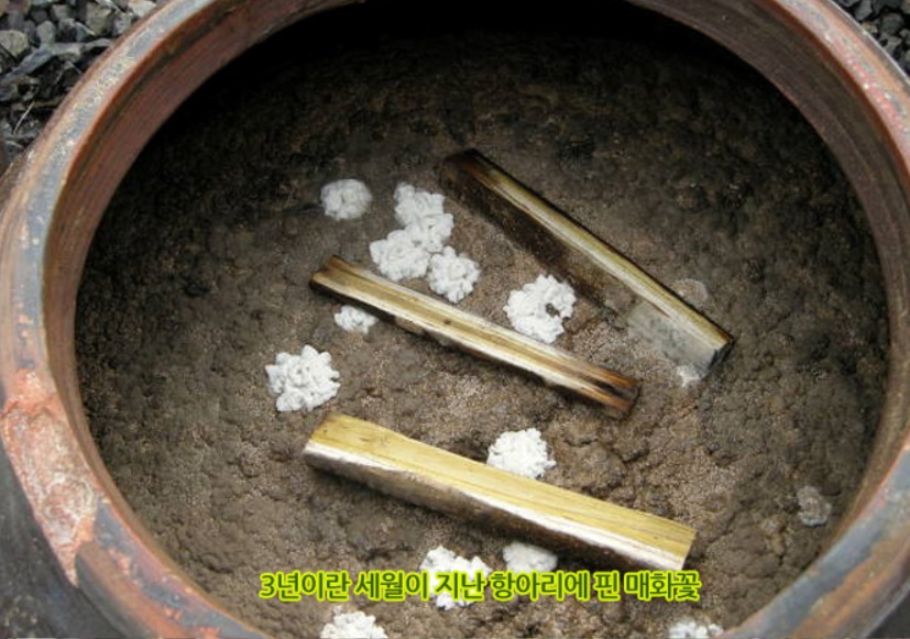 한국기행-밀양-집장-송남이-구배기된장