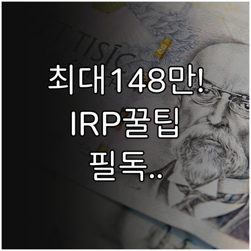 IRP 추가납입으로 최대 148만원 ..