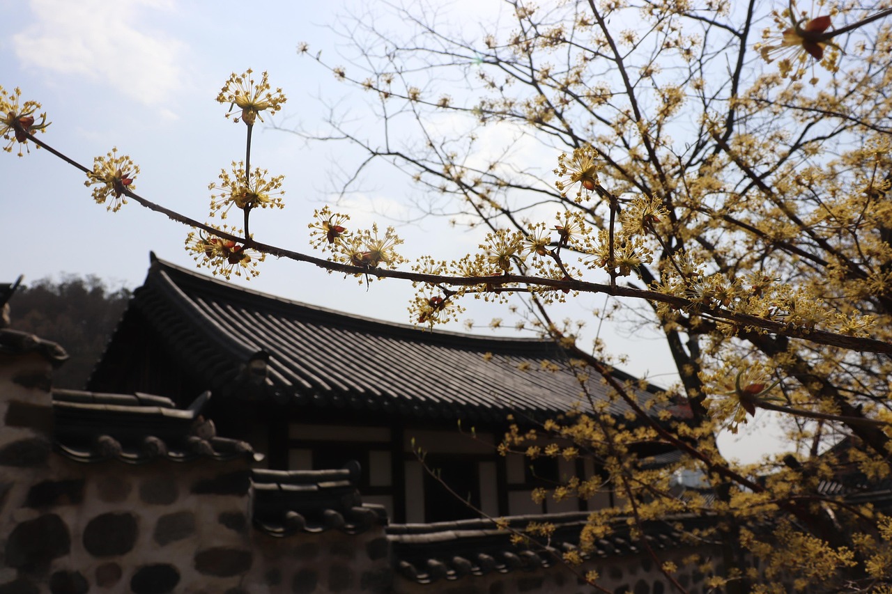 한국의 주요 사찰 템플스테이 안내