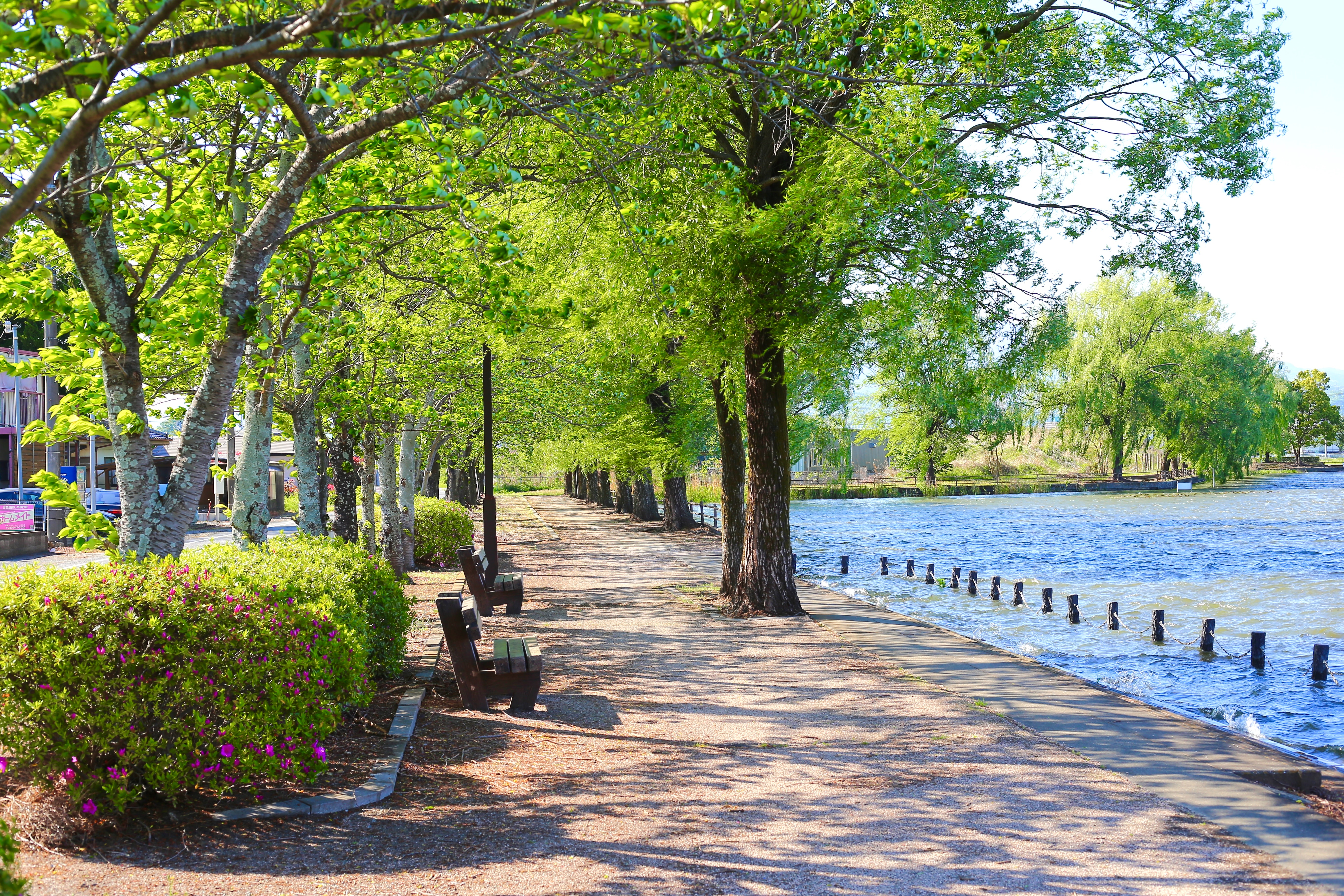 관광진흥개발기금