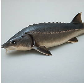 콘드로이친1200mg