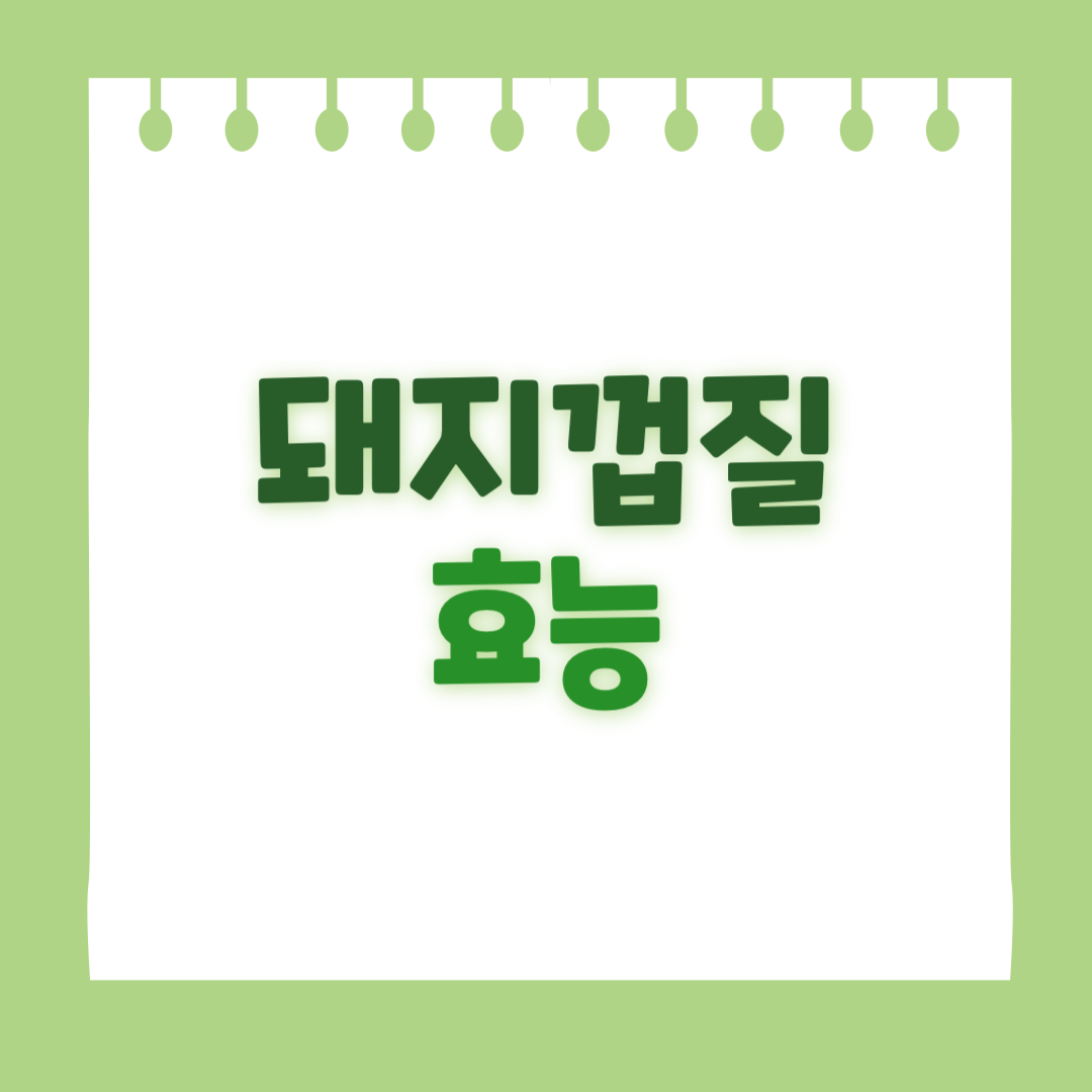 돼지껍질의 효능