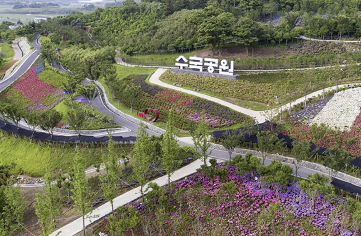 신안 도초도 섬 수국축제