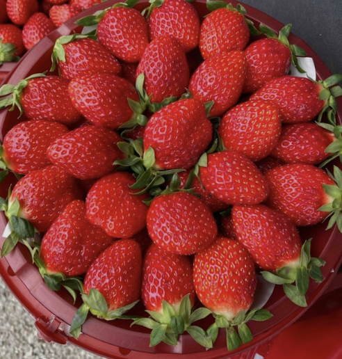 봄제철음식 BEST3