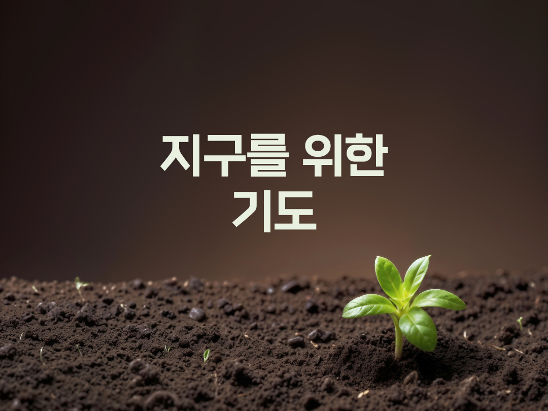 지구를 위한 기도 천주교 기도문