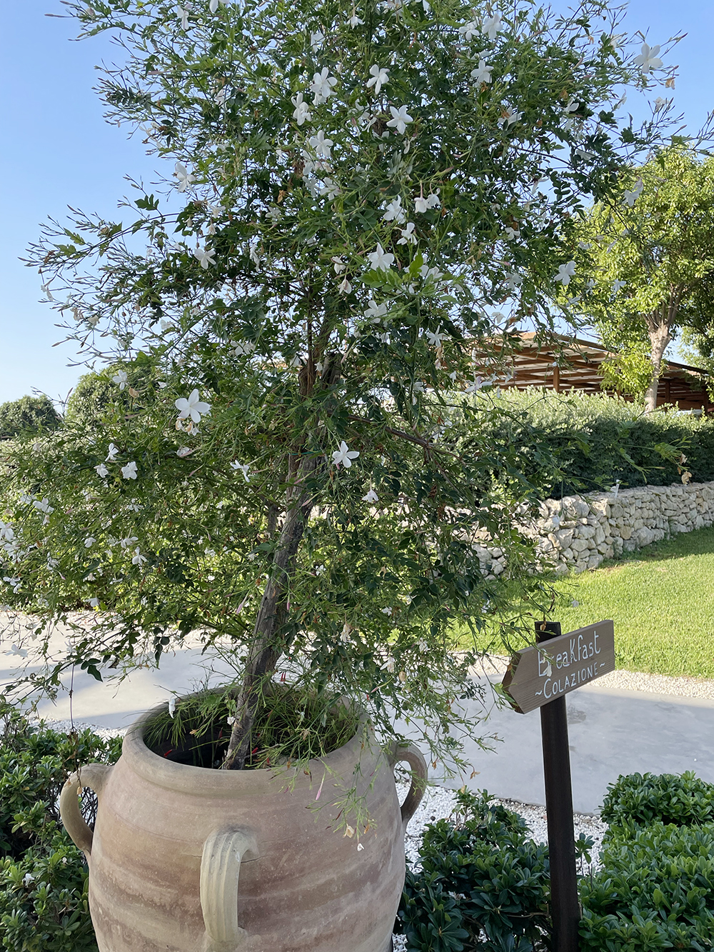 향기블렌딩의 시작