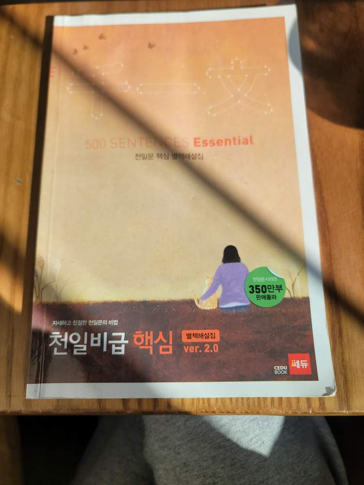 천일문 핵심 별책해설집