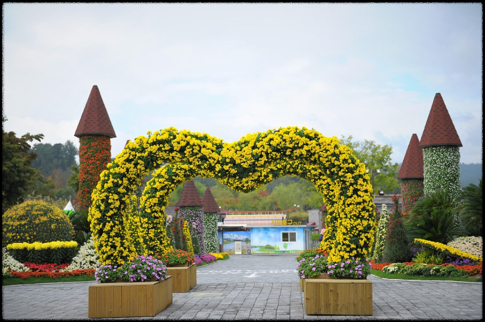 아이와 함께하는 국화축제 (마산 가고파, 체험부스, 가족여행)