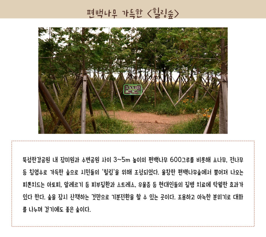 뚝섬 한강공원