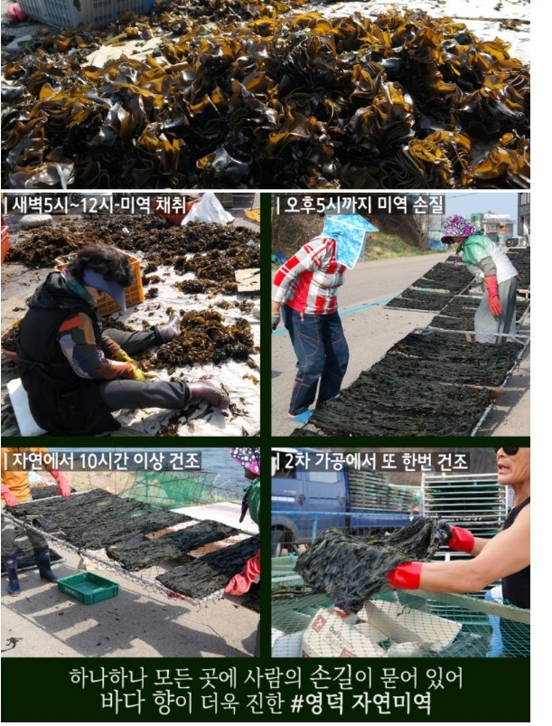 한국인의밥상-영덕-미역-석리마을-따개비마을