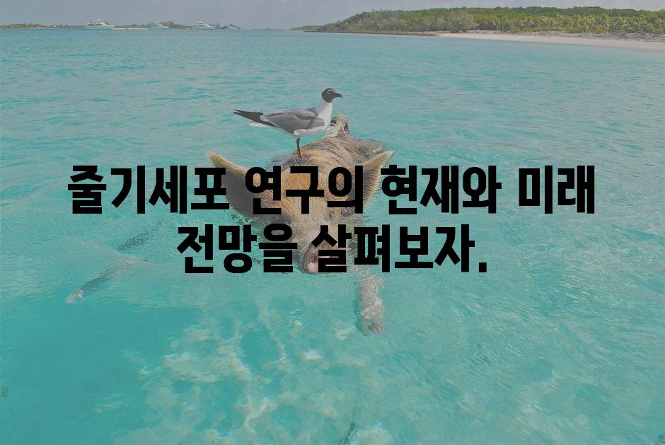 샘플 (1)