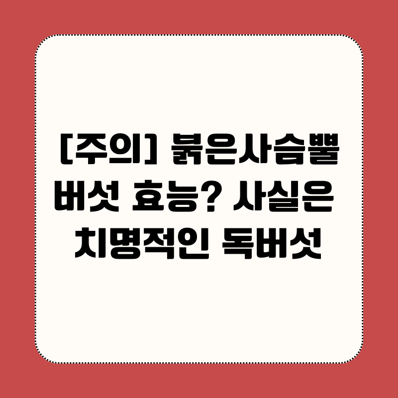 [주의] 붉은사슴뿔버섯 효능? 사실은 치명적인 독버섯입니다!