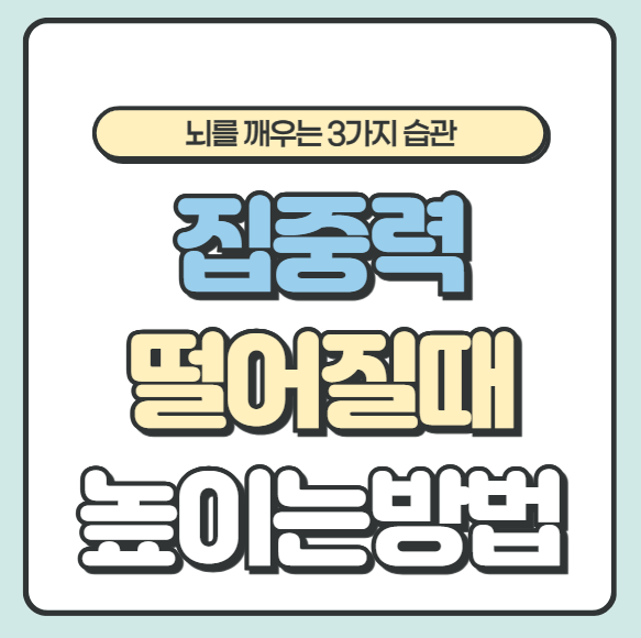 집중력 높이는 방법! 집중력 떨어질 때 뇌를 깨우는 3가지 습관