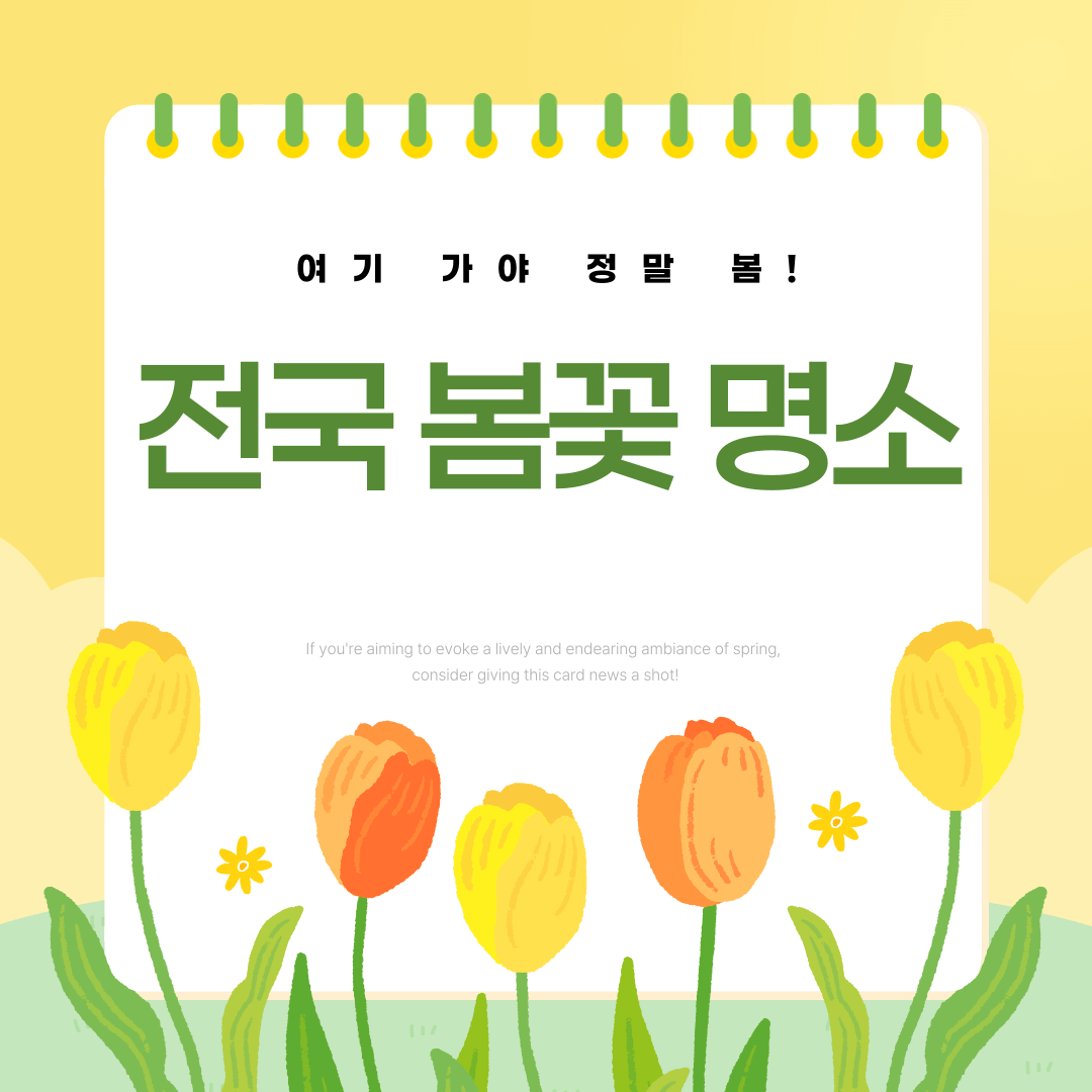 전국 봄꽃 명소