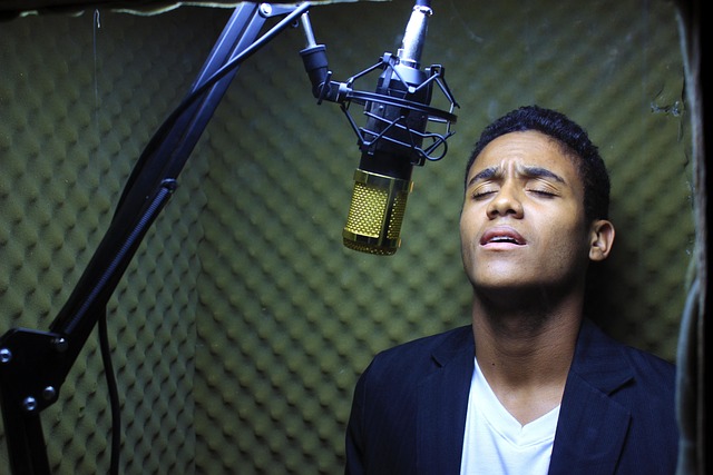 서울가요제 정체 관련 이미지