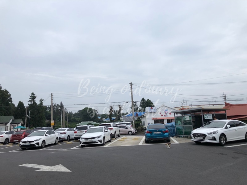 제주 춘심이네 주차장