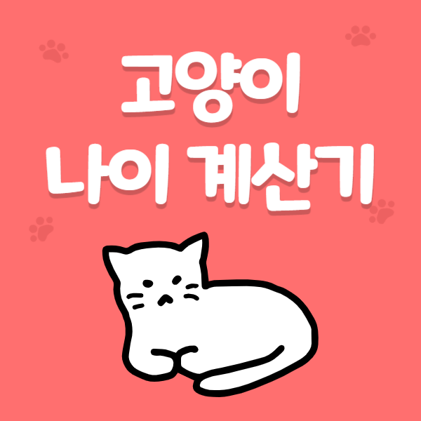 고양이 나이 계산기