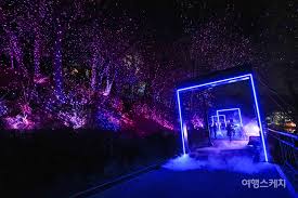 통영 가볼마한곳 - 디피랑