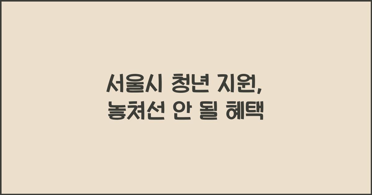서울시 청년 지원