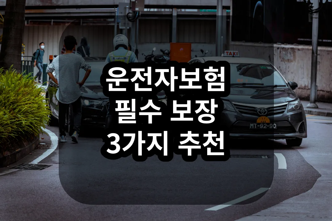 운전자 보험 필수 보장 3가지