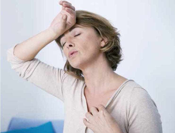 갱년기에 좋은약 갱년기 유산균 영양제 식품 추천 갱년기 증상 치료 극복