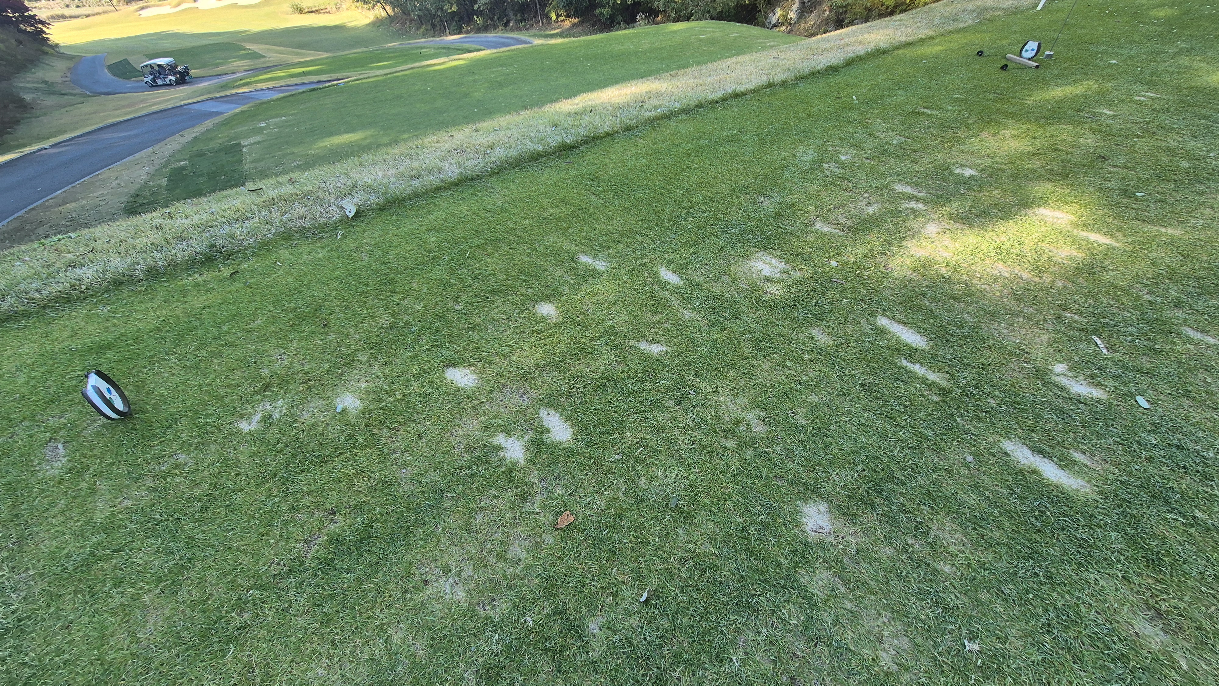 동촌gc 티잉구역 상태