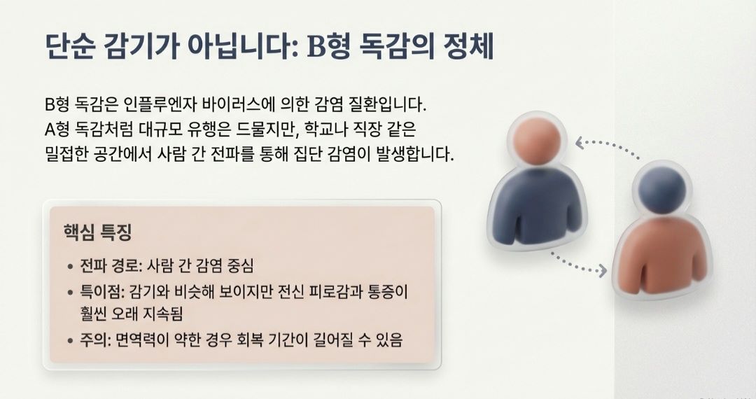 b형독감-사진1