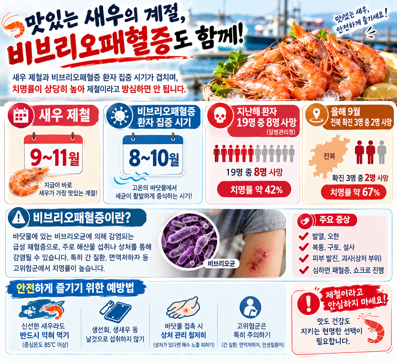 비브리오패혈증 환자 집중 시기: 8~10월